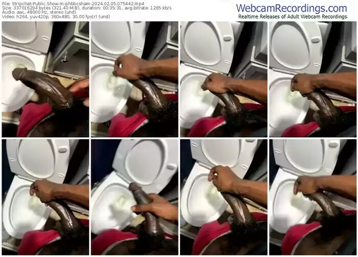 stripchat-phbbcsham-02-05-2024-07-54-42