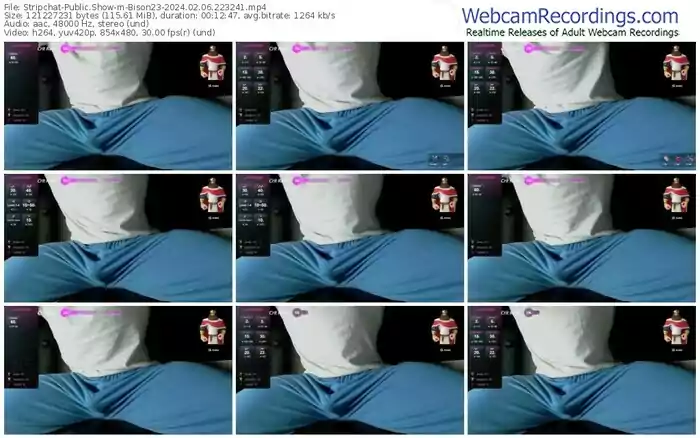 stripchat-bison23-02-06-2024-22-32-41