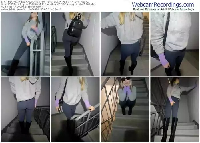 stripchat-two_hot_cats_love-02-07-2024-12-38-39