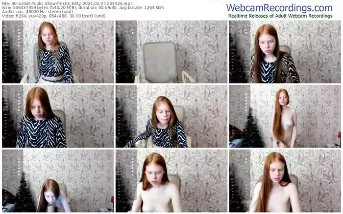 stripchat-cut3_kitty-02-07-2024-20-33-26