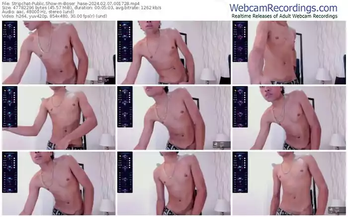 stripchat-boser_hase-02-07-2024-00-17-28