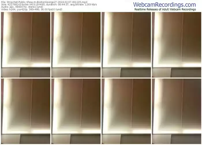 stripchat-bostongeorge27-02-07-2024-00-12-25