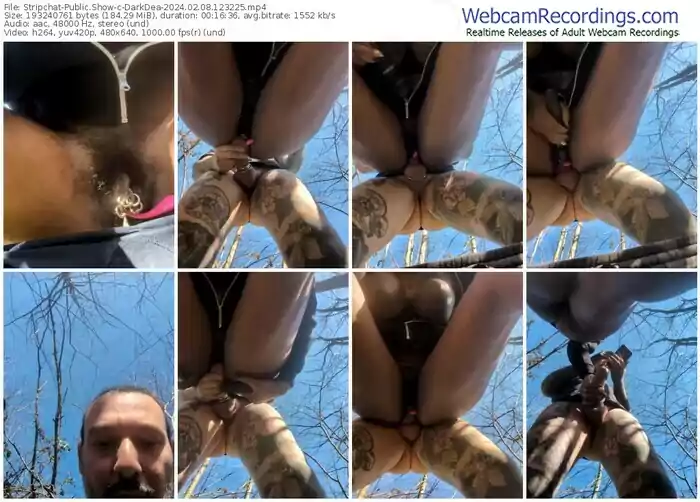 stripchat-darkdea-02-08-2024-12-32-25