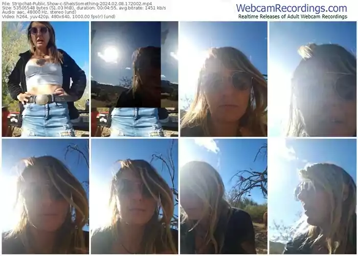 stripchat-sheissomething-02-08-2024-17-20-02