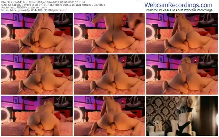 stripchat-edgedpale-02-08-2024-06-41-55