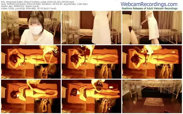 stripchat-irohani_usagi-02-08-2024-13-35-29