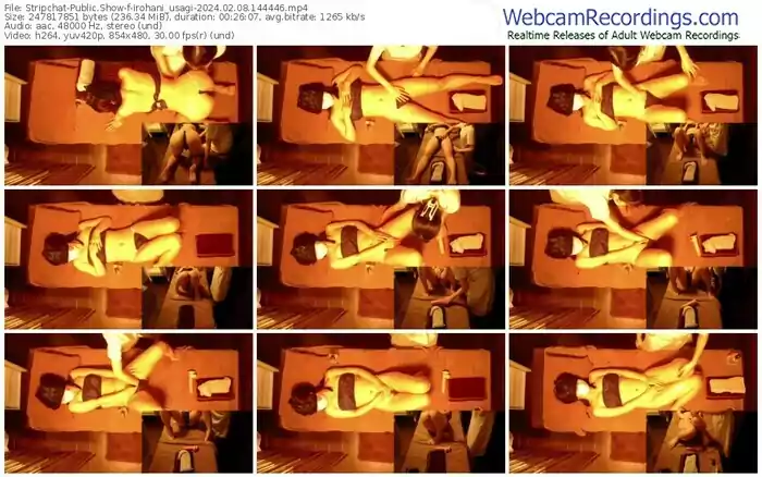 stripchat-irohani_usagi-02-08-2024-14-44-46