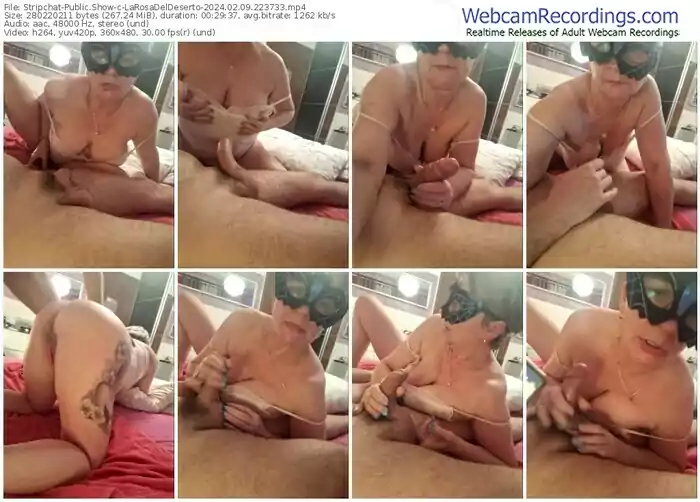 stripchat-larosadeldeserto-02-09-2024-22-37-33