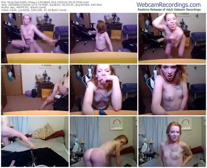 stripchat-littlered_slut-02-09-2024-01-20-06