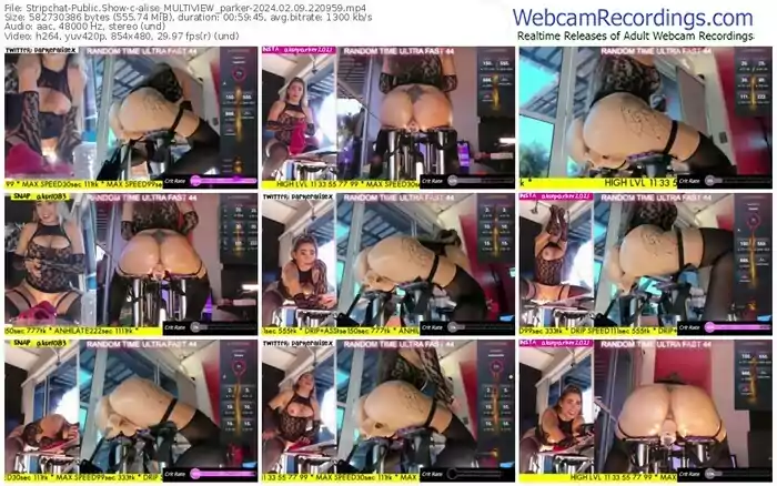 stripchat-alise_multiview_parker-02-09-2024-22-09-59