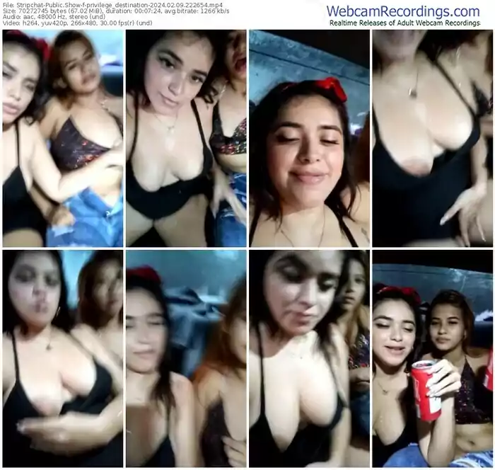 stripchat-privilege_destination-02-09-2024-22-26-54