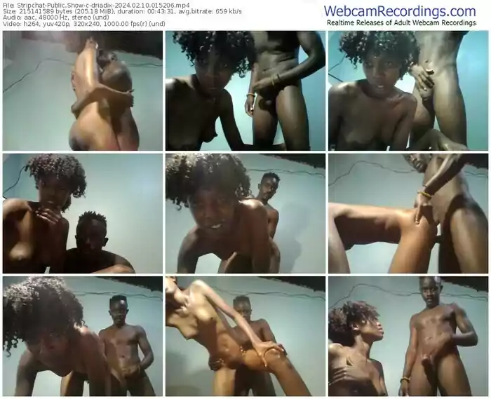 stripchat-driadix-02-10-2024-01-52-06