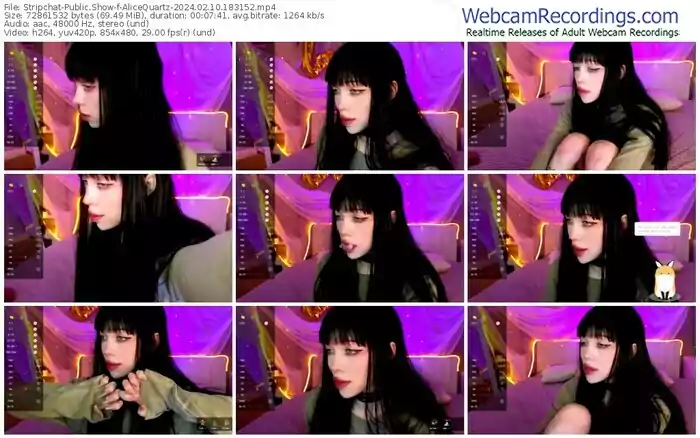 stripchat-alicequartz-02-10-2024-18-31-52