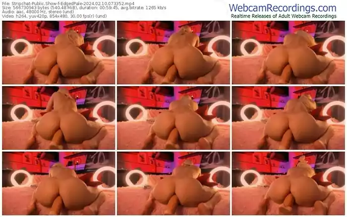 stripchat-edgedpale-02-10-2024-07-33-52