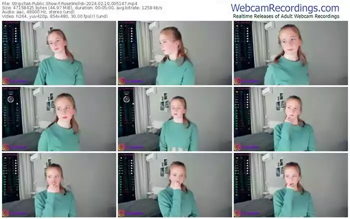 stripchat-rosewellsk-02-10-2024-00-51-47