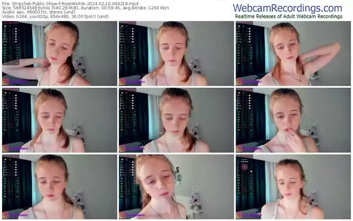 stripchat-rosewellsk-02-10-2024-04-42-18