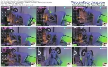 stripchat-xinsea-02-10-2024-17-56-04