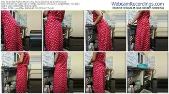 stripchat-raj_riya-02-11-2024-14-44-36