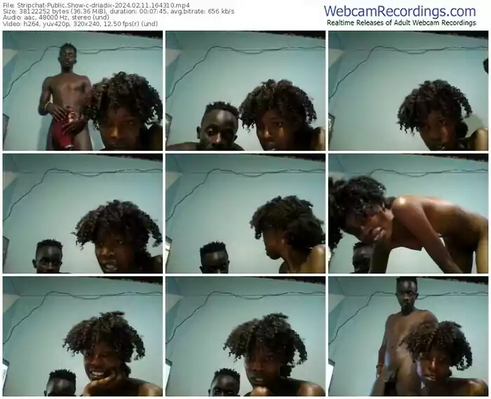 stripchat-driadix-02-11-2024-16-43-10