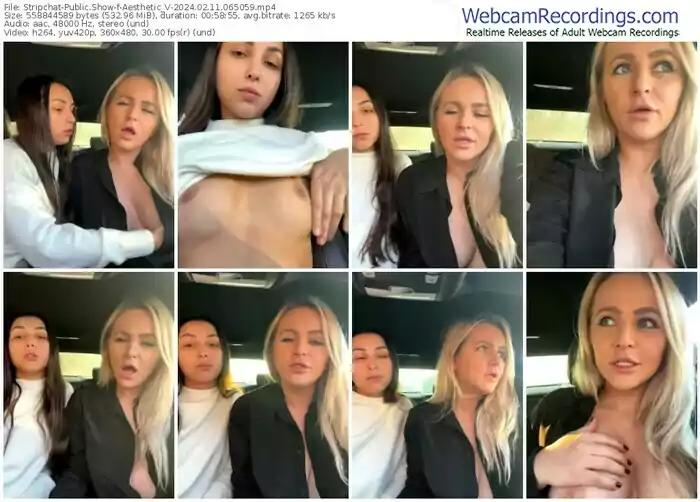 stripchat-aesthetic_v-02-11-2024-06-50-59