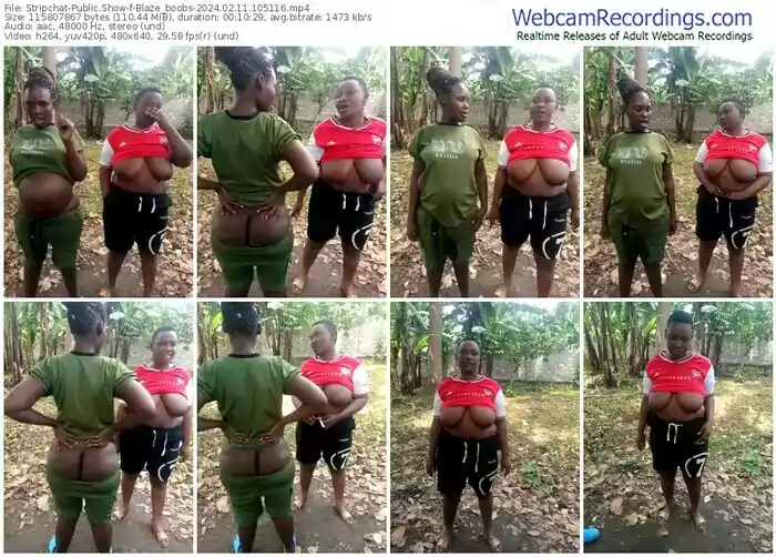 stripchat-blaze_boobs-02-11-2024-10-51-16