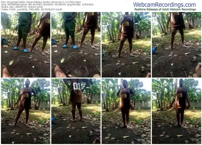 stripchat-blaze_boobs-02-11-2024-11-25-33