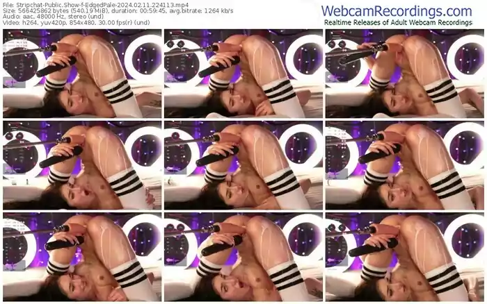 stripchat-edgedpale-02-11-2024-22-41-13