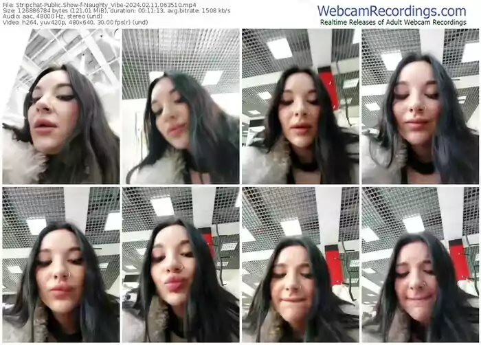 stripchat-naughty_vibe-02-11-2024-06-35-10
