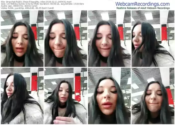 stripchat-naughty_vibe-02-11-2024-06-54-31