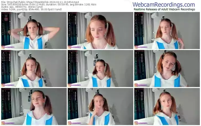 stripchat-rosewellsk-02-11-2024-21-04-54