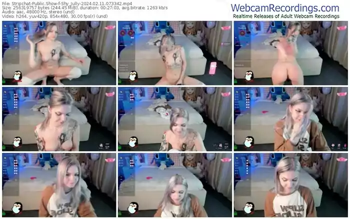 stripchat-shy_jully-02-11-2024-07-33-42