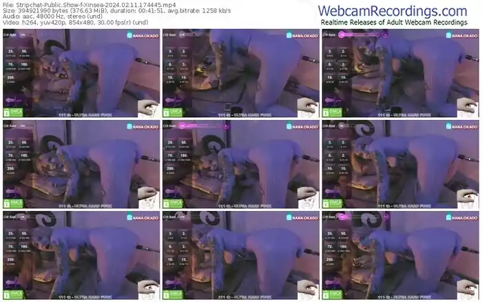 stripchat-xinsea-02-11-2024-17-44-45