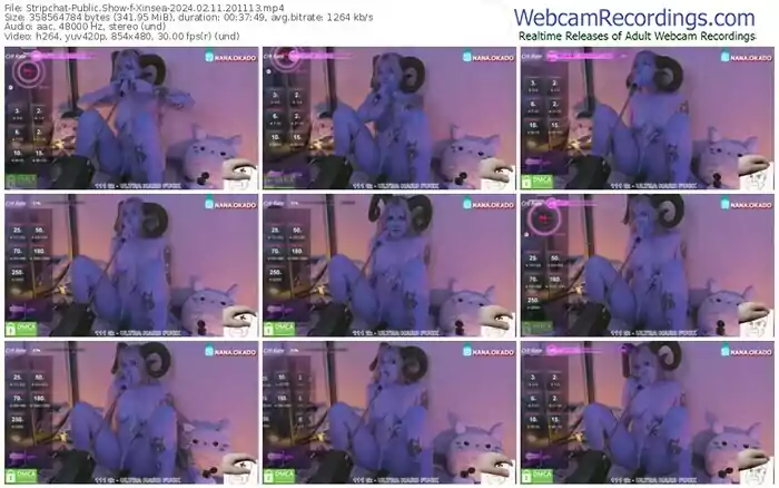 stripchat-xinsea-02-11-2024-20-11-13