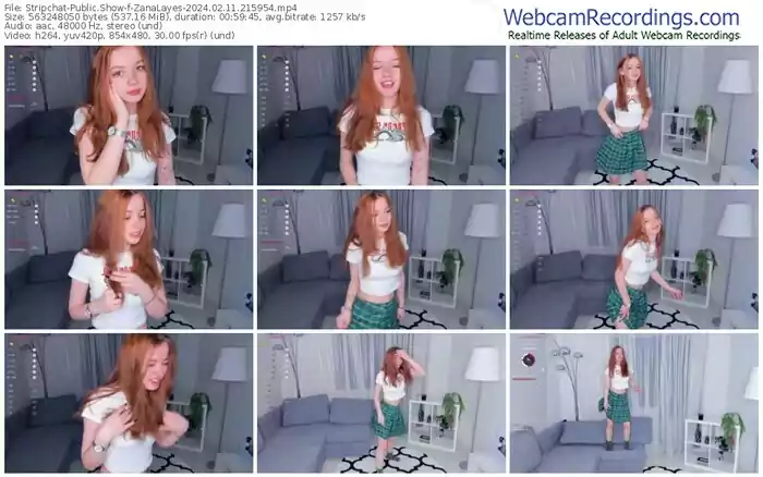 stripchat-zanalayes-02-11-2024-21-59-54