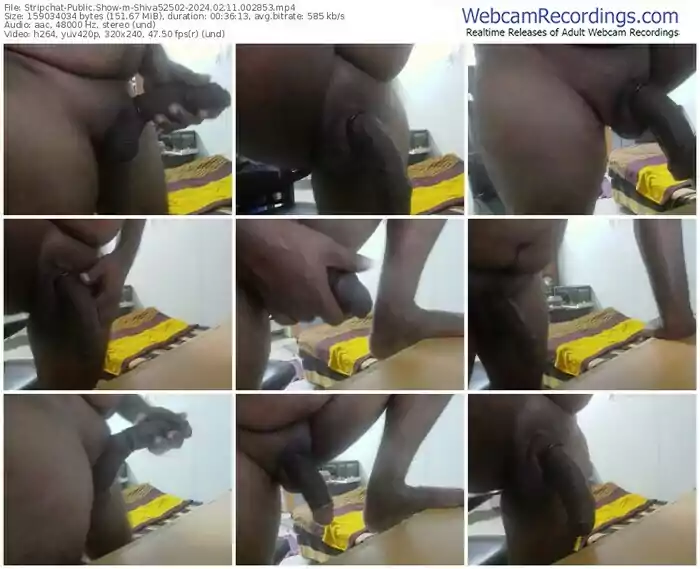 stripchat-shiva52502-02-11-2024-00-28-53