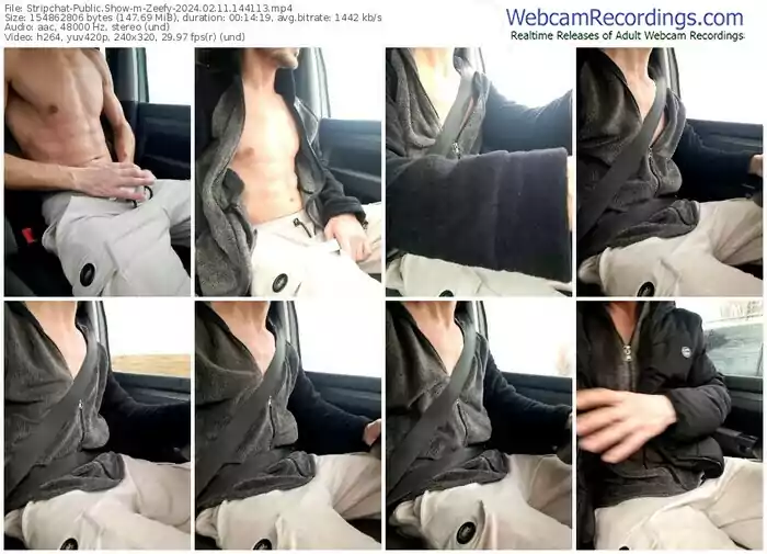 stripchat-zeefy-02-11-2024-14-41-13