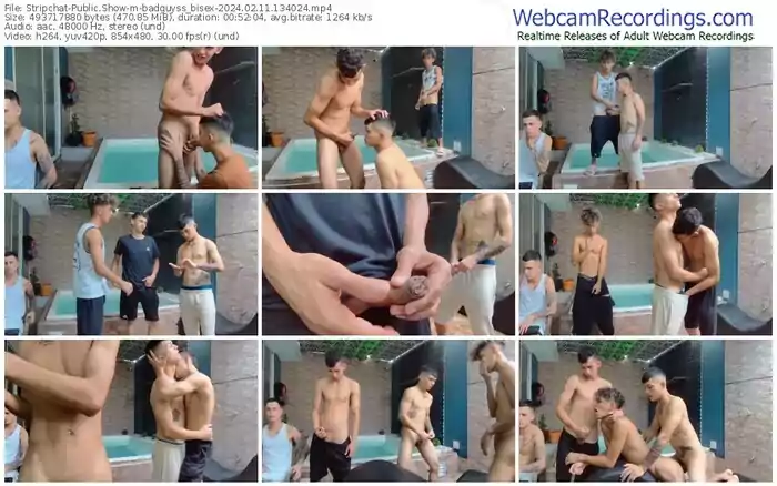 stripchat-badguyss_bisex-02-11-2024-13-40-24
