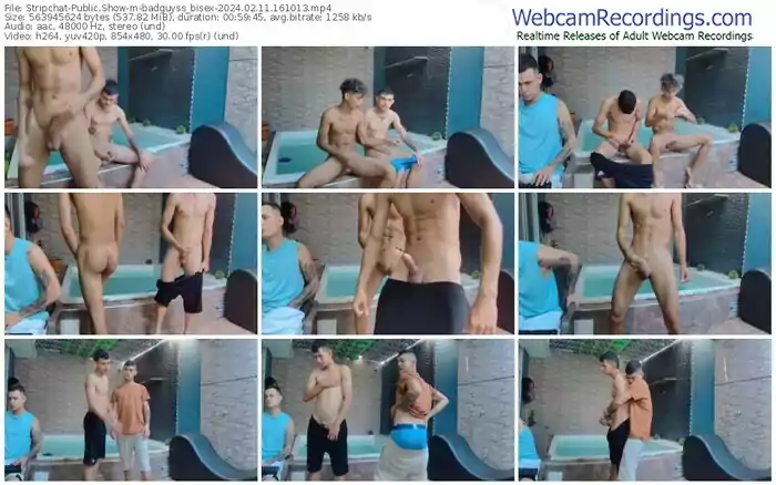 stripchat-badguyss_bisex-02-11-2024-16-10-13