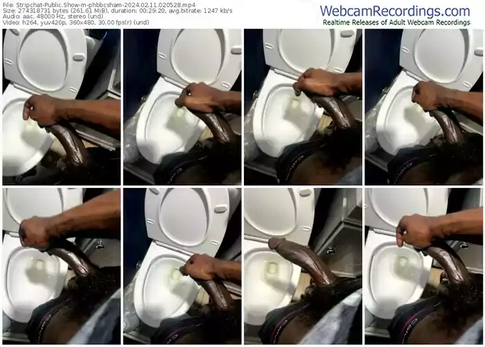 stripchat-phbbcsham-02-11-2024-02-05-28