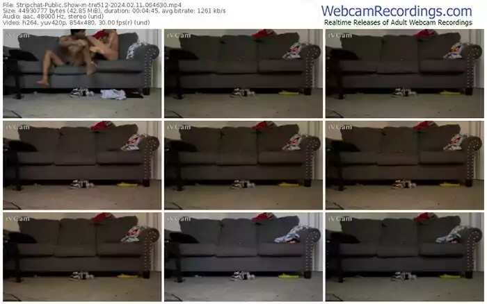 stripchat-tre512-02-11-2024-06-46-30