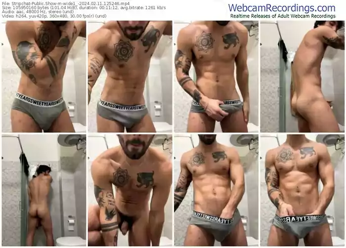 stripchat-wide1_-02-11-2024-12-52-46