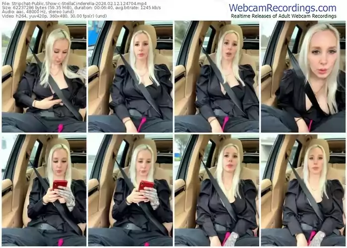stripchat-stellacinderella-02-12-2024-12-47-04