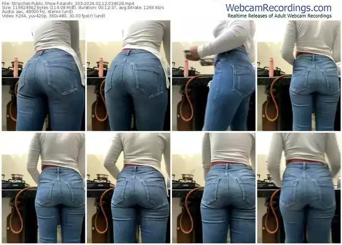 stripchat-aarohi_333-02-12-2024-03-49-28