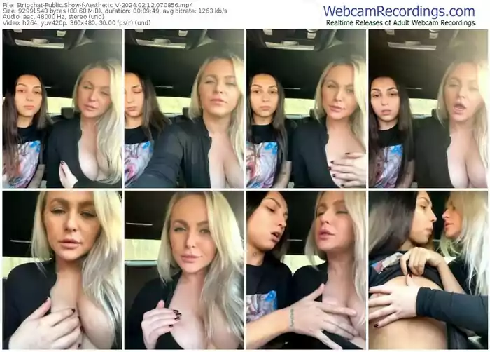 stripchat-aesthetic_v-02-12-2024-07-08-56