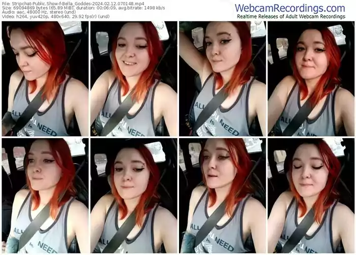 stripchat-bella_goddes-02-12-2024-07-01-48