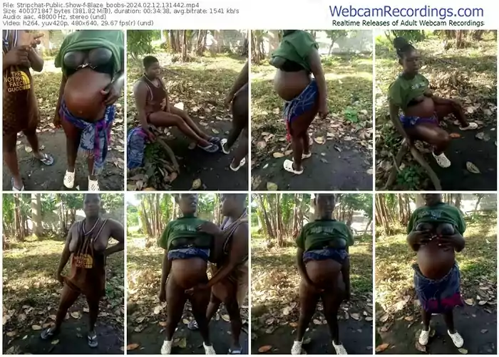 stripchat-blaze_boobs-02-12-2024-13-14-42