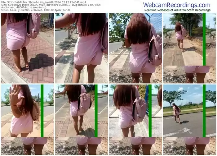 stripchat-caro_sweett-02-12-2024-15-45-41