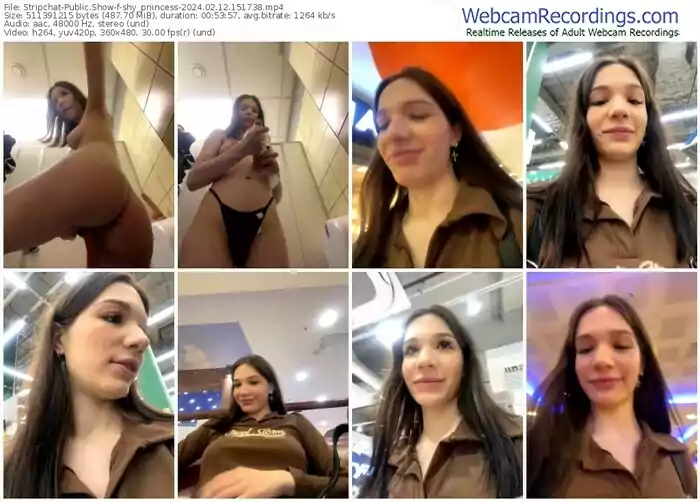 stripchat-shy_priincess-02-12-2024-15-17-38