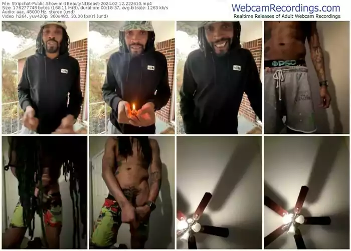 stripchat-1beautyn1beast-02-12-2024-22-26-10