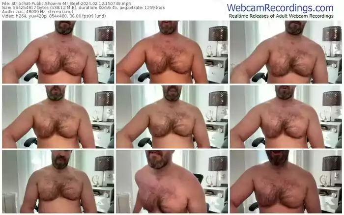 stripchat-mr_beef-02-12-2024-15-07-49